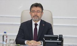 Hayvan Pazarları Yeniden Açıldı