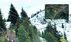 Şavşat’ta Yeni Maden Projesi Onaylandı