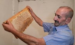 Ardanuç'ta Arıcılar Maliyetlere Dayanamıyor