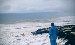 Yüksek Rakımda Kış Erken Geldi