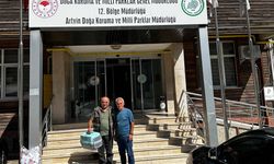 Aret Yaylası’nda Yaralı Şahin Kurtarıldı
