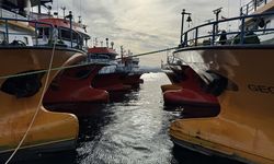 Balıkçıların Karadeniz'deki hamsi avı sürüyor