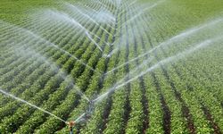 Çiftçilere 306 milyon 541 bin 763 lira tarımsal destek ödemesi bugün yapılacak