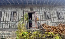 Kestane Ağacından Yapılan Tescilli Evler Arılı Köyüne Ziyaretçi Çekiyor