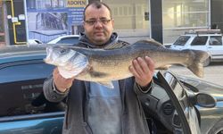 Sinop'ta amatör balıkçı oltayla 6 kilogramlık levrek yakaladı