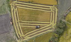 Tarımsal üretime yönelik Hazine destekli finansmana ilişkin limitler yeniden belirlendi