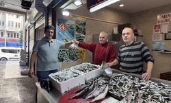 Trabzon'da balıkçı tezgahlarında istavrit ilgi görüyor