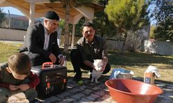 Cami imamı onlarca kediye bakıyor