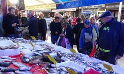 Hamsini kilosu 300 TL’den 100 TL’ye düştü: Kapış kapış gitti