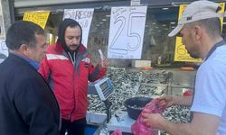 Ordu’da hamsi 25 liraya düştü, vatandaş sıraya girdi