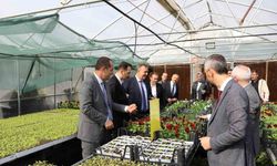 Trabzon’un Akçaabat ilçesinde tarımsal üretime destek sürüyor