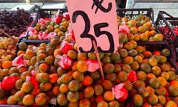 Kışın Habercisi Mandalina Tezgahlarda