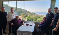 Eşek Arısı Dehşeti: Yaşlı Çift O Anları Anlattı