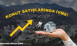 Artvin’de Konut Satışları Yükselişte