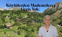 İzinsiz Maden Ölçümü Girişimine Tepki