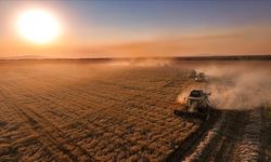 Çiftçilere 331 milyon 664 bin lira tarımsal destek ödemesi bugün yapılacak