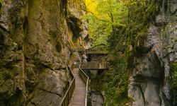 İçinden sonbaharın geçtiği kanyon: Horma