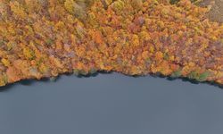 Ordu'daki Ulugöl Tabiat Parkı sonbahar renklerine büründü