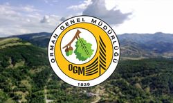 Orman Genel Müdürlüğünün 496 sözleşmeli personel alımına ilişkin detaylar belli oldu