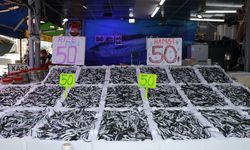 Rize'de hamsinin kilogramı 50 liradan satılıyor