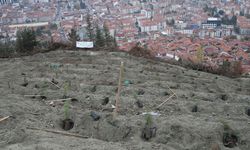 Samsun ve çevre illerde 'Milli Ağaçlandırma Günü' dolayısıyla fidan dikimi yapıldı