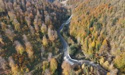 Sinop'ta sonbahar renkleri görsel şölen sunuyor