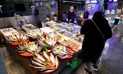 Trabzon'daki balıkçı tezgahlarında hamsinin kilogramı 75 liradan satılıyor