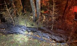 Artvin’de Zirai Alanda Yangın Kısa Sürede Söndürüldü