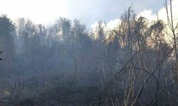 Hopa’da Ziraat Alanında Çıkan Yangın Ormana Sıçradı