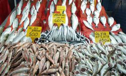 Samsun’da balık fiyatlarında son durum
