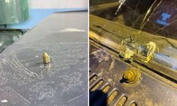 Artvin’de Maganda Kurşunu Park Halindeki Araca ve İş Yerine İsabet Etti