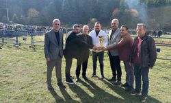 Bursa’da 6. Alaçam Boğa Güreşleri Coşkusu