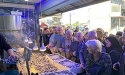 Hopa’da Hamsi İzdihamı: Kilo 20 TL’ye Düştü