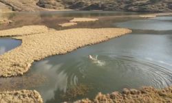 Arsiyan Yaylası’nda Buz Gibi Göl Deneyimi