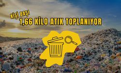 Artvin’de Belediyeler 65 Bin Ton Atık Topladı