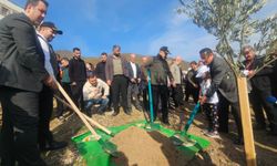Fidanlar Toprakla Buluşturuldu