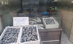 Hamsi 100 Liradan Alıcı Buluyor