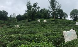 Yıldızbayrak’tan Çiftçilere ÇKS Uyarısı