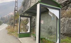 Kırık durak ve çöp görüntüsü yoldan geçenleri şaşırtıyor