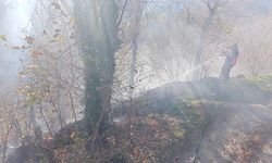 Borçka’da Yangın Paniği