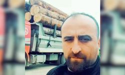 Artvin’de Üzerine Ağaç Devrilen Şahıs Hayatını Kaybetti