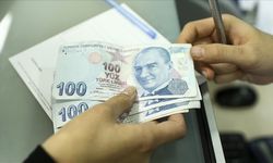 Aralık ayı doğum yardımı ödemeleri annelerin hesaplarına yatırıldı