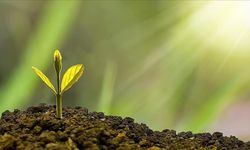 Bakanlık'tan yerel yönetimlere yaklaşık 96 milyar liralık çevre desteği