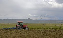 Çiftçilere 1 milyar 46 milyon lira tarımsal destekleme ödemesi bugün yapılacak