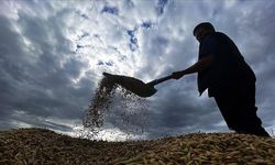 Çiftçilere yaklaşık 1,7 milyar lira tarımsal destekleme ödemesi bugün yapılacak