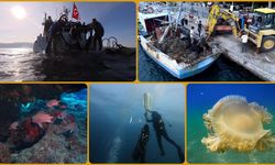 Deniz ve iç sulardan bu yıl 360 bin metrekare hayalet ağ temizlendi