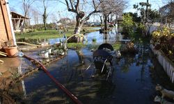 Ordu'da şiddetli rüzgarda oluşan dalgalar hasara neden oldu
