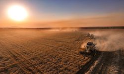 Üreticilere IPARD-III Programı kapsamında kasım döneminde 376,8 milyon lira ödendi