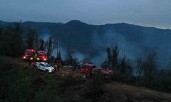 Hopa’daki Orman Yangını Söndürüldü, Soğutma Çalışmaları Sürüyor