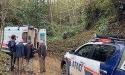 Kestiği ağacın çarptığı vatandaş uçuruma yuvarlandı
